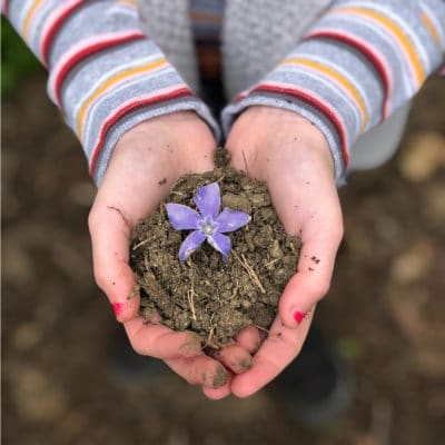 Apporter de la terre et enrichir mon sol