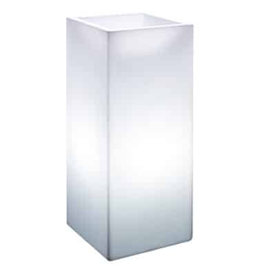 Pot rectangulaire Cosmos lumineux blanc